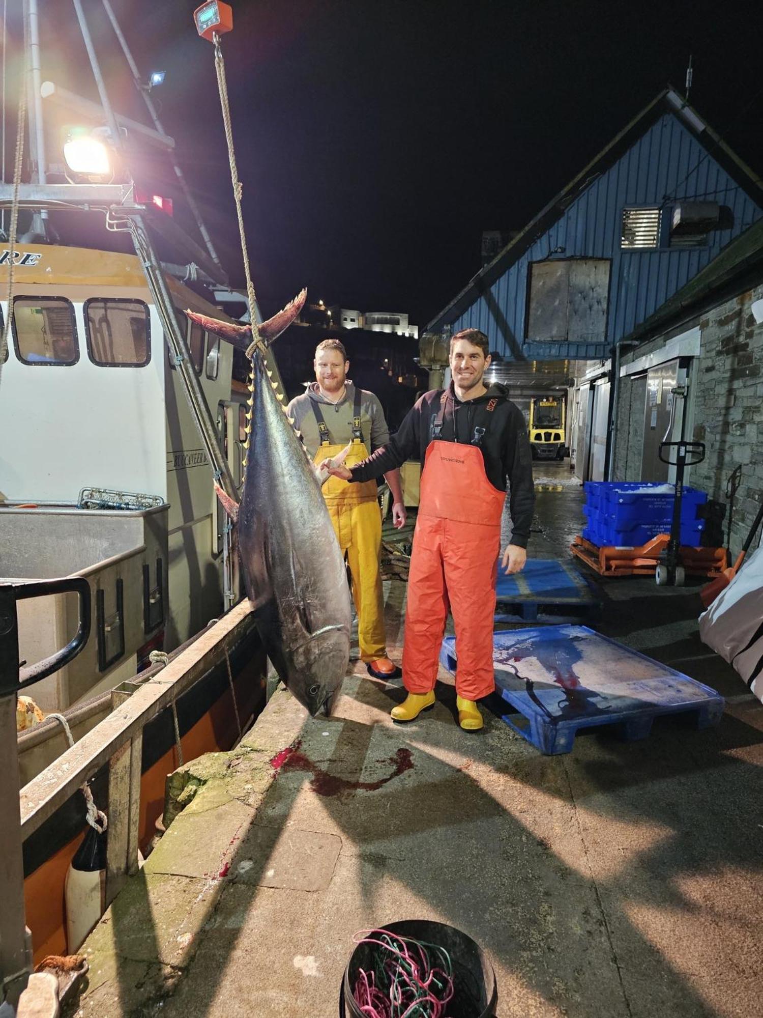 What A View Mevagissey Luaran gambar